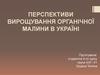 Перспективи вирощування органічної малини в Україні