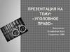 «Уголовное право»