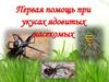 Первая помощь при укусах ядовитых насекомых