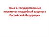 Государственные институты несудебной защиты в Российской Федерации