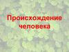 Происхождение человека