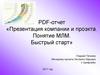 PDF-отчет «Презентация компании и проекта. Понятие МЛМ. Быстрый старт»