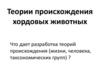 Теории происхождения хордовых животных