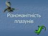 Різноманітність плазунів