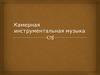 Камерная инструментальная музыка