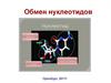 Обмен нуклеотидов