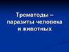 Трематоды – паразиты человека и животных