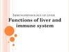 Mmunophysiology of liver. Immunophysiology of liver functions of liver and immune system