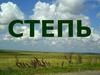 Степь. Зона степей