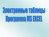 Электронные таблицы. Программа MS Excel
