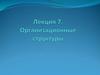 Организационные структуры организации. Механистическая и профессиональная бюрократия