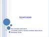 Адаптация. Срочная и долговременная адаптация