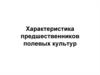 Характеристика предшественников полевых культур