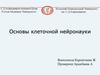 Основы клеточной нейронауки