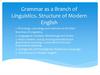 Grammar as a Branch of Linguistics. Structure of Modern English