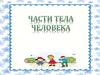 Части тела человека