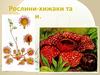 Рослини-хижаки та паразити