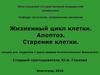 Жизненный цикл клетки. Апоптоз. Старение клетки