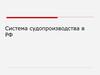 Система судопроизводства в РФ
