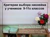 Критерии выбора никнейма у учеников 9 -11х классов