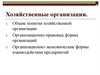 Хозяйственные организации