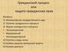 Гражданский процесс или защита гражданских прав