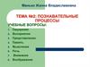 Познавательные процессы в дошкольном возрасте. (Тема 2)
