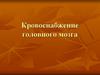 Кровоснабжение головного мозга
