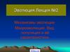 Механизмы эволюции. Микроэволюция. Вид, популяция и её характеристики