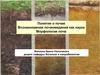 Понятие о почве. Возникновение почвоведения, как науки. Морфология почв. (Лекция 1)