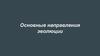 Основные направления эволюции