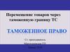 Перемещение товаров через таможенную границу ТС