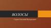 Волосы. Функции и строение волос