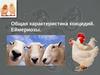 Общая характеристика кокцидий.  Еймериозы