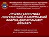 Лучевая семиотика повреждений и заболеваний опорно-двигательного аппарата