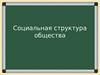Социальная структура общества