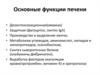 Основные функции печени
