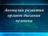 Аномалии развития органов дыхания человека