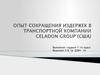 Опыт сокращения издержек в транспортной компании Сeladon Group (США)