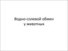 Водно-солевой обмен у животных