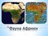 Фауна Африки