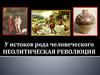У истоков рода человеческого. Неолитическая революция
