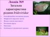 Загальна характеристика родини Iridoviridae