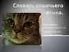 Наблюдение за домашними животными. Словарь кошачьего языка