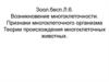 Возникновение многоклеточности. Признаки многоклеточного организма Теории происхождения многоклеточных животных