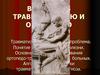 Введение в травматологию и ортопедию травматизм как социальная проблема. Понятие травматической болезни