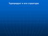 Турпродукт и его структура