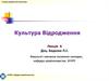 Історія української культури. Культура Відродження