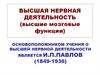 Высшая нервная деятельность. Высшие мозговые функции