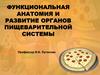Функциональная анатомия и развитие органов пищеварительной системы